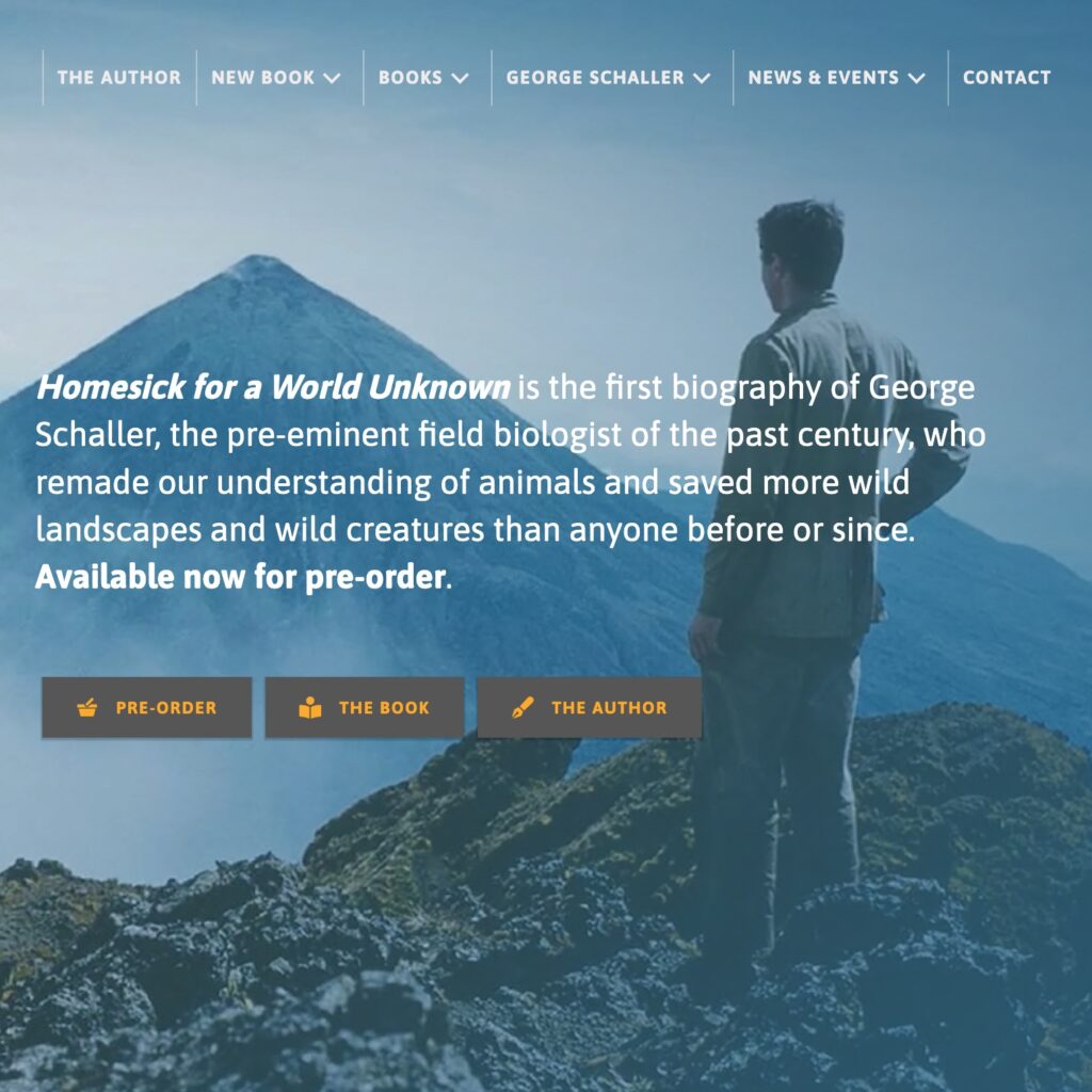 Miriam Horn Website Design by Adrian Kinloch